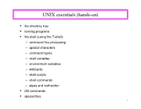 UNIX Essentials (Hands-On)