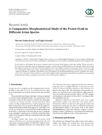 A Comparative Morphometrical Study of the Pecten Oculi in Different Avian Species