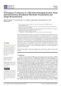 Performance Evaluation of a Thz Pulsed Imaging System: Point Spread Function, Broadband Thz Beam Visualization and Image Reconstruction