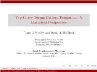 Vegetative Turing Pattern Formation: a Historical Perspective