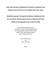 Fate and Transport Modeling of Cohesive Sediment and Sediment-Bound HCB in the Middle Elbe River Basin