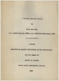 Triangle and Its Circles from the Standpol T of Modern