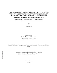 Gender Outlaws Between Earth and Sky: Iranian Transgender Asylum