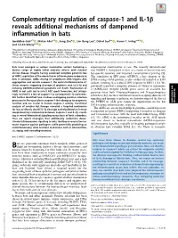 Complementary Regulation of Caspase-1 and IL-1Β Reveals Additional Mechanisms of Dampened Inflammation in Bats