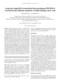 Long Non‑Coding RNA Transcribed from Pseudogene PPIAP43 Is Associated with Radiation Sensitivity of Small Cell Lung Cancer Cells