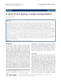 A Glow of HLA Typing in Organ Transplantation Batool Mutar Mahdi