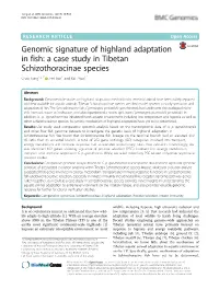 Genomic Signature of Highland Adaptation in Fish: a Case Study in Tibetan Schizothoracinae Species Chao Tong1,2,3* , Fei Tian1 and Kai Zhao1*