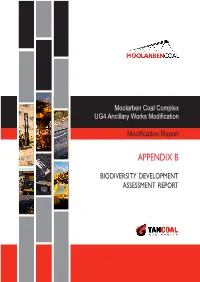 Moolarben Coal Complex UG4 Ancillary Works Modification