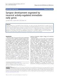 Synapse Development Organized by Neuronal Activity-Regulated Immediate- Early Genes Seungjoon Kim1, Hyeonho Kim1 and Ji Won Um1
