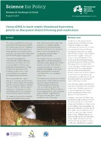 Burrowing Petrels on Macquarie Island Following Pest Eradication