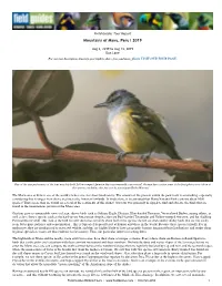 Field Guides Tour Report Mountains of Manu, Peru I 2019