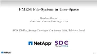 PMEM File-System in User-Space