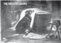 The Registry Books Are Approximately