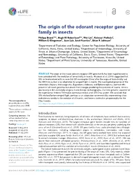The Origin of the Odorant Receptor Gene Family in Insects