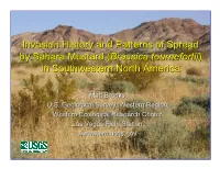 Saharan Mustard Invasion History and Patterns of Spread