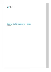Some Echinoderms - Test by Bruno Index