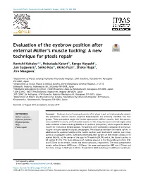 Evaluation of the Eyebrow Position After External Müller's Muscle