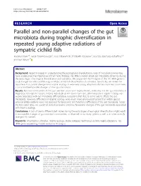 Parallel and Non-Parallel Changes of the Gut Microbiota During Trophic