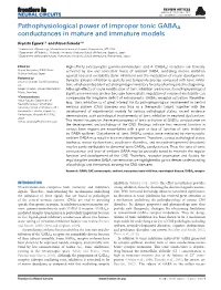 Pathophysiological Power of Improper Tonic GABAA Conductances in Mature and Immature Models