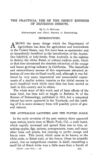 THE PRACTICAL USE of the INSECT ENEMIES of INJURIOUS INSECTS. AMONG the Many Things Which the Department of Agriculture Has Done