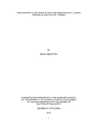 Dissertation Master