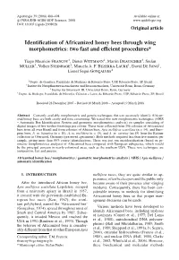 Identification of Africanized Honey Bees Through Wing Morphometrics
