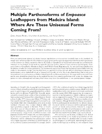 Multiple Parthenoforms of Empoasca Leafhoppers from Madeira Island