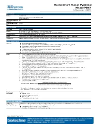 Recombinant Human Pyridoxal Kinase/PDXK