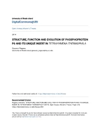 Structure, Function and Evolution of Phosphoprotein P0 and Its Unique Insert in Tetrahymena Thermophila