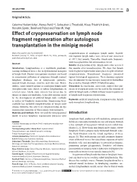 Effect of Cryopreservation on Lymph Node Fragment Regeneration After