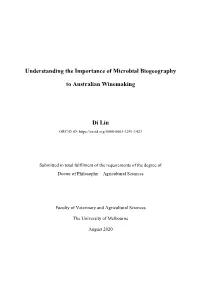 Final Thesis File