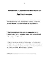 Mechanisms of Mechanotransduction in the Pacinian Corpuscle