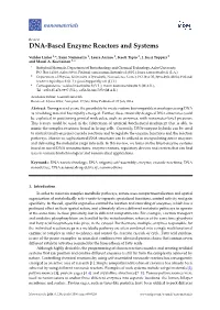 DNA-Based Enzyme Reactors and Systems