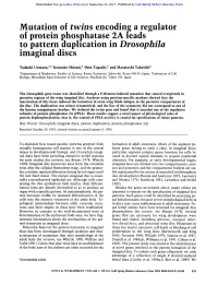 Mutation of Twins Encoding a Regulator of Protein Phosphatase 2A Leads to Pattern Duplication in Drosophila Imaginal Discs