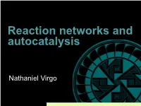 SFI Online Lecture Autocatalysis Nathaniel Virgo
