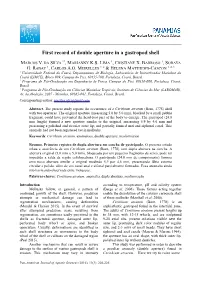 First Record of Double Aperture in a Gastropod Shell