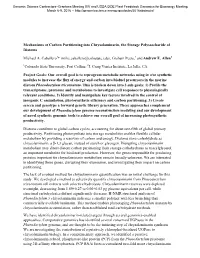 Mechanisms of Carbon Partitioning Into Chrysolaminarin, the Storage Polysaccharide of Diatoms