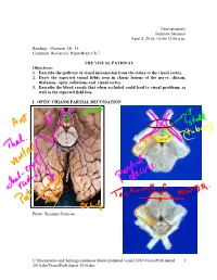 Visualpath Dental 2010.Jnt