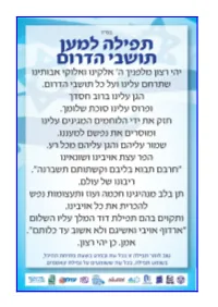 Yaakov Reichert, Drawing Lessons in Is Today)
