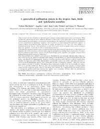 A Generalized Pollination System in the Tropics: Bats, Birds and Aphelandra Acanthus