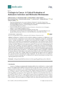 Corilagin in Cancer: a Critical Evaluation of Anticancer Activities and Molecular Mechanisms