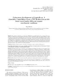 Laboratory Development of Capitella Sp. a (Annelida: Capitellidae) from a NW Mediterranean Fish Farm Reared Under Different Organic Enrichment Conditions