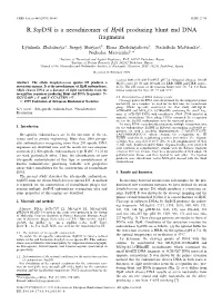 R.Sspd5i Is a Neoschizomer of Hphi Producing Blunt End DNA Fragments
