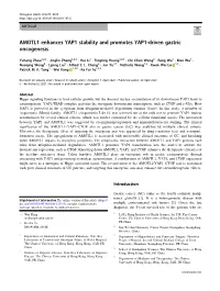 AMOTL1 Enhances YAP1 Stability and Promotes YAP1-Driven Gastric Oncogenesis