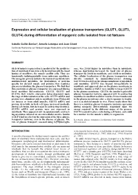 Expression and Cellular Localization of Glucose Transporters (GLUT1, GLUT3, GLUT4) During Differentiation of Myogenic Cells Isolated from Rat Fïtuses