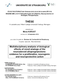 Multidisciplinary Analysis of Biological Effects of Novel Analogs of The