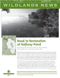Road to Restoration at Halfway Pond Upcoming Project Will Restore Sensitive Pond Shore Habitat, Halfway Improve Public Access, and Enhance Public Safety