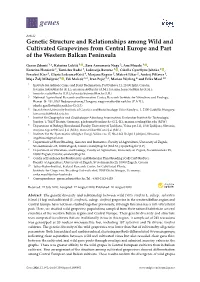 Genetic Structure and Relationships Among Wild and Cultivated Grapevines from Central Europe and Part of the Western Balkan Peninsula