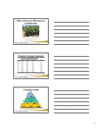 Mites and Insects Affecting Tree Establishment