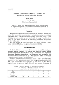 Postnatal Development of External Characters and Behavior in Young Pipistrellus Abramus